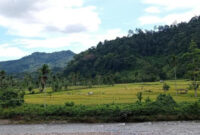 Kayu Aro Surantih, Indah namun Masih Tertinggal