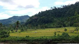 Kayu Aro Surantih, Indah namun Masih Tertinggal 