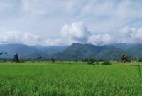 Semangat Baru Kesatuan Kerabat Kampai 
Alam Surambi Sungai pagu. Foto Yulizal Yunus