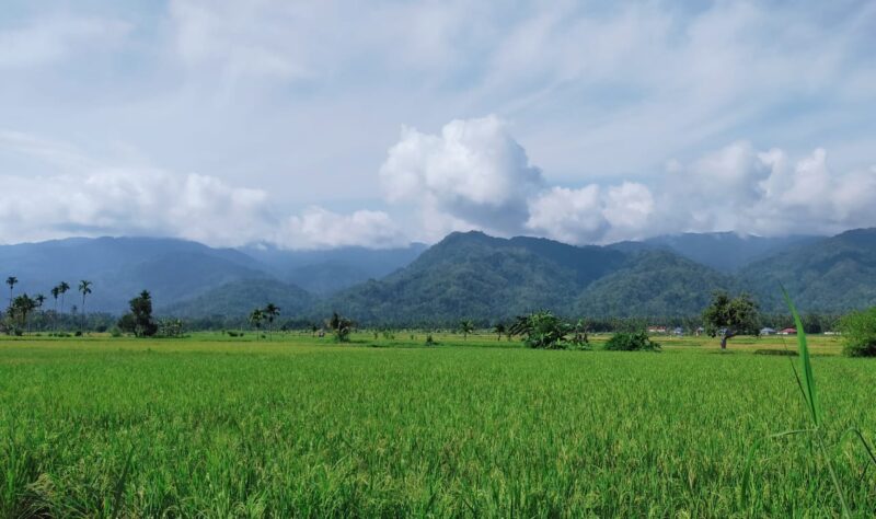 Semangat Baru Kesatuan Kerabat Kampai 
Alam Surambi Sungai pagu. Foto Yulizal Yunus