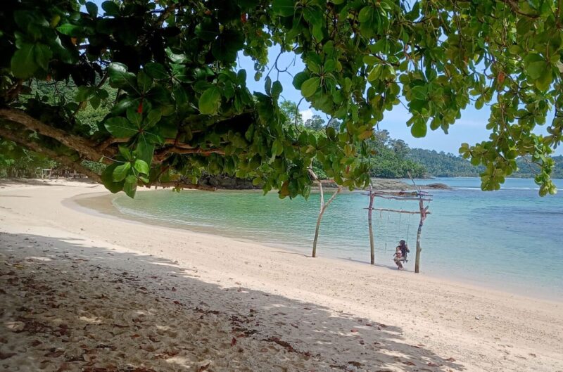 Ilustrasi jumlah butir pasir di pantai dan banyak ikan di laut