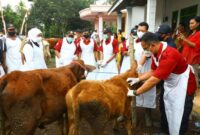 Sebanyak 635.050 dosis vaksin PMK Tahap I dan II telah disuntikkan di berbagai daerah di Jawa Timur.