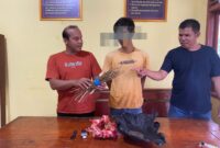 Pelaku terduga penyalahgunaan narkoba jenis ganja yang ditangkap oleh Tim Opsnal Sapu Jagat Satresnarkoba Polres Pessel bersama jajaran Polsek Sutera, Kamis (25/8).