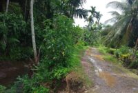 Jalan Penghubung 2 Kampung di Linggo Sari Baganti Rusak