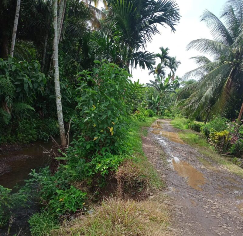 Jalan Penghubung 2 Kampung di Linggo Sari Baganti Rusak