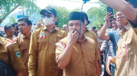 Ketua Persatuan Perangkat Desa Indonesia (PPDI) Pesisir Selatan Epi Syofyan 