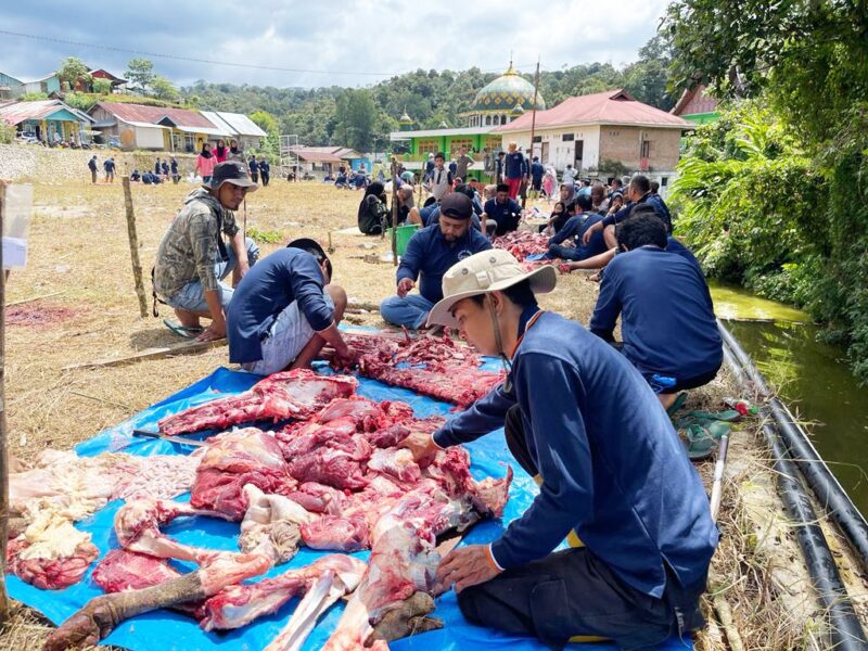 Pabrik Aqua Memberikan sumbangan hewan qurban kepada warga Tiga Jorong