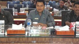 Anggota DPRD Pesisir Selatan Doni Sopian, SH