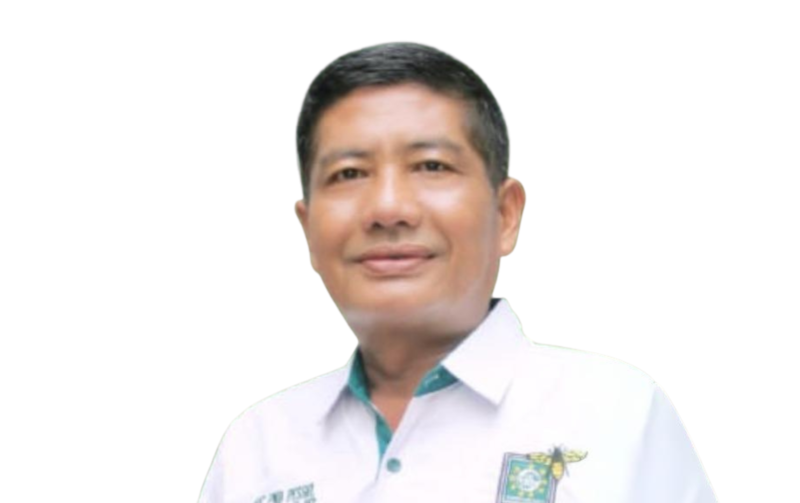Anggota DPRD Pessel terpilih periode 2024-2029, Erwil. Foto: kpu.go.id