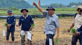 Rusma Yul Anwar