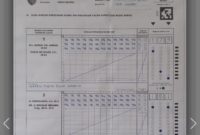 Raihan suara Pemilihan Kepala Daerah Pesisir Selatan 2024 di TPS 8 Painan Timur. Sumber: pilkada2024.kpu.go.id