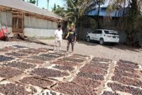 Salah satu gudang Gambir di Pesisir Selatan 