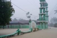 10 Daerah di Aceh Status Darurat Bencana, 46.893 Orang Terdampak - Dua Meninggal

