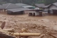 Efek Kupu-Kupu dan Tragedi Hukum Lingkungan

