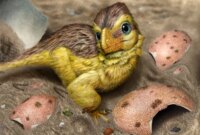 “Mimpi Seorang Ahli Paleontologi”: Terobosan yang Mengubah Cara Kita Mengencani Dinosaurus


