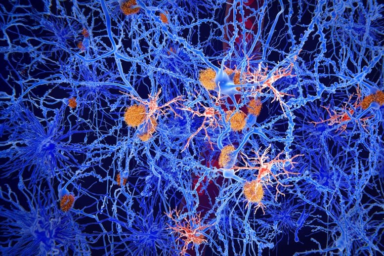 Sel Otak Tersembunyi Mungkin Memegang Kunci Alzheimer

