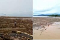 Viral Penampakan Kayu Usai Banjir Bandang di Pantai Padang, Milik Siapakah?