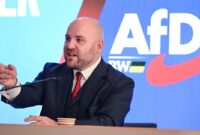 AfD sedang mencari koneksi di AS

