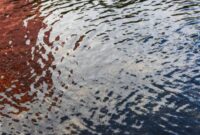 Banjir Merendam 15 Lingkungan di Jaktim akibat Sungai Ciliwung Meluap, Ketinggiannya Capai 80 Cm

