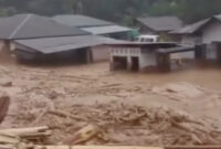 Bobby dan Raja Juli merupakan pihak yang paling bertanggung jawab atas bencana di Sumut

