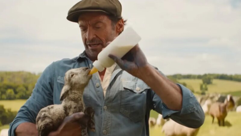 Hugh Jackman Memiliki Domba yang Berbicara di Film

