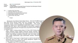 PPPK Paruh Waktu: Dilarang Merangkap Jabatan, Batas Waktu Seleksi Sampai 31 Desember


