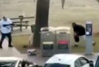 Pengamat pemberani melucuti senjata pria bersenjata dalam serangan teroris Sydney (VIDEO) — RakyatPos.id

