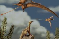 Pterosaurus Purba Terbang Dengan Otak Yang Sangat Kecil, Studi Menemukan

