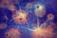 Vaksin Herpes Zoster Mengurangi Risiko Demensia sebesar 20%, Studi Stanford Mengungkapkan

