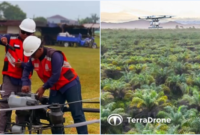 Viral Usai Kebakaran Gedung, Terra Drone Tracks Aktif Memetakan Lahan Sawit di Sumatera

