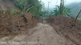 Akses jalan yang terhalang longsor di Pantai Selatan Sumatera Barat berhasil dipulihkan

