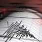 
                            Foto: Ilustrasi gempa (Getty Images/iStockphoto/Petrovich9)                        