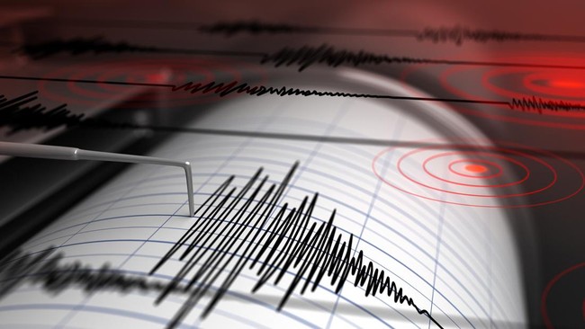 
                            Foto: Ilustrasi gempa (Getty Images/iStockphoto/Petrovich9)                        