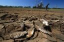 BMKG menyebutkan fenomena El Nino berada pada level yang sangat kuat, awal musim hujan berpotensi tertunda

