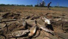 BMKG menyebutkan fenomena El Nino berada pada level yang sangat kuat, awal musim hujan berpotensi tertunda

