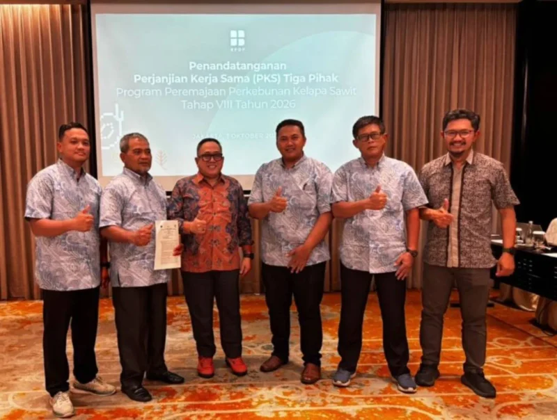 Cetak Sejarah di Kampar, Koperasi Plasma Berkat Lestari Dapatkan Hibah PSR untuk Peremajaan Kelapa Sawit — Sawit Indonesia

