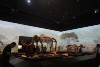 Revitalisasi Museum di Jakarta Bukan Titik Akhir