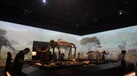 Revitalisasi Museum di Jakarta Bukan Titik Akhir
