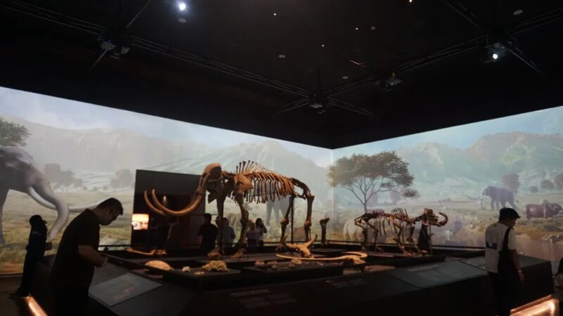 Revitalisasi Museum di Jakarta Bukan Titik Akhir