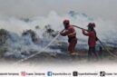 Tinjauan Lengkap - BMKG: Titik Panas di Sumatera Capai 3.663, di Lampung Ada 471 Titik


