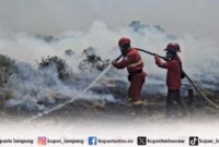 Tinjauan Lengkap – BMKG: Titik Panas di Sumatera Capai 3.663, di Lampung Ada 471 Titik