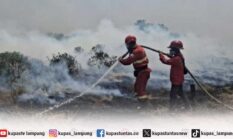 berita-pilihan-foto